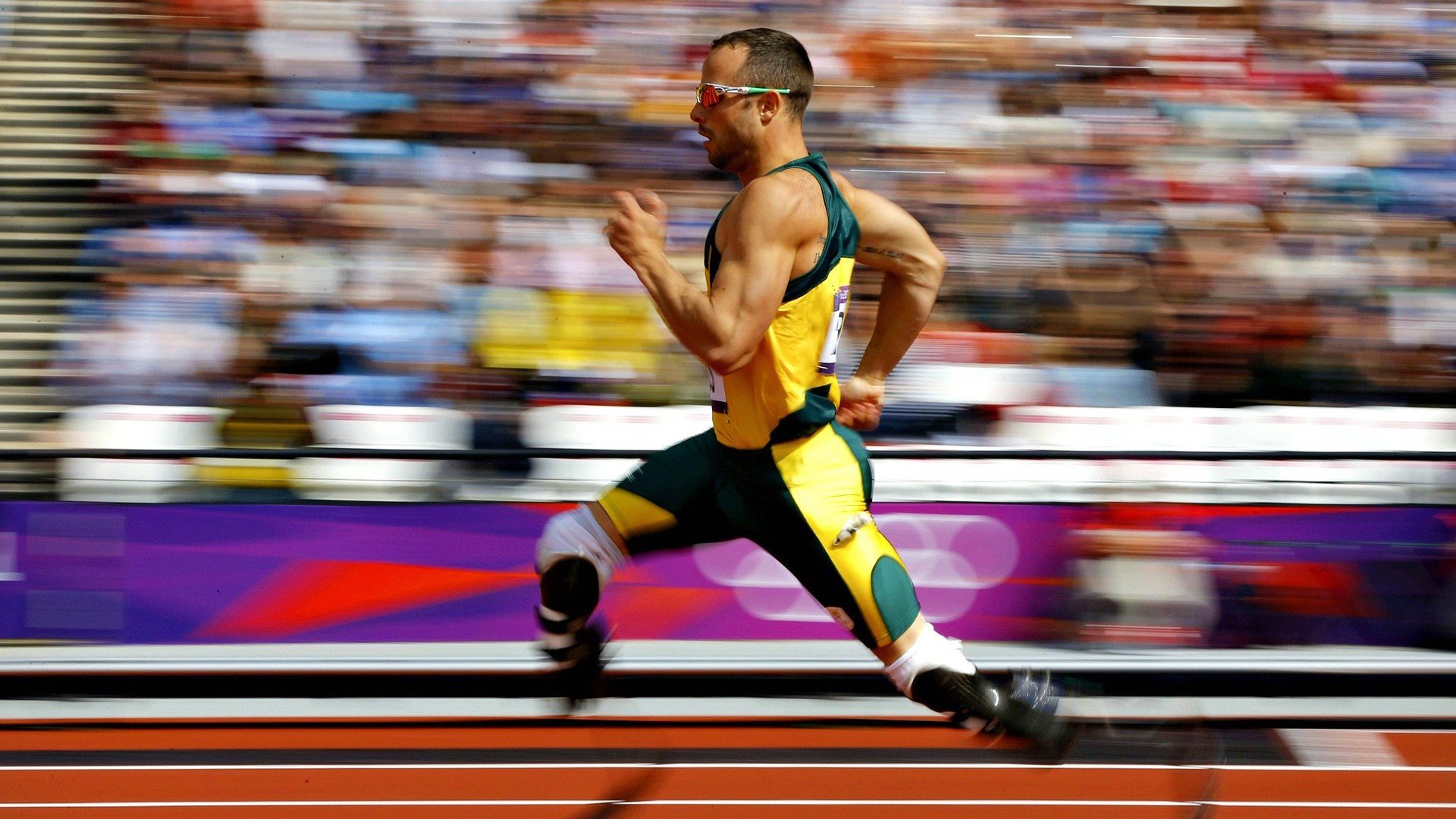 体育纪录片上线展现冠军背后的故事,体育纪录片主题