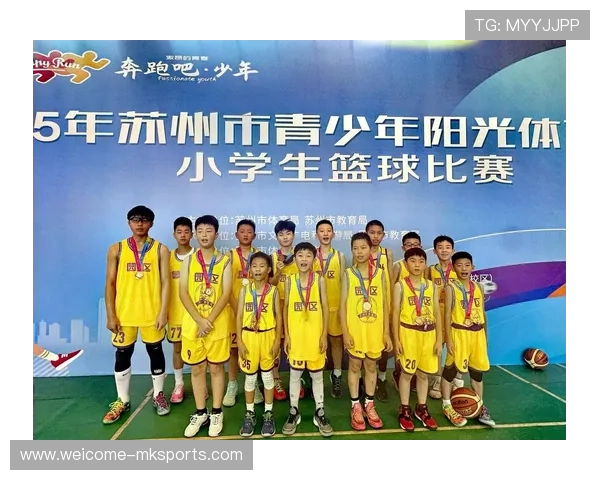 篮球少年代表中国未来的希望，对篮球少年的赞美词